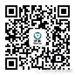 开云手机端·官方版在线-开云(中国)

